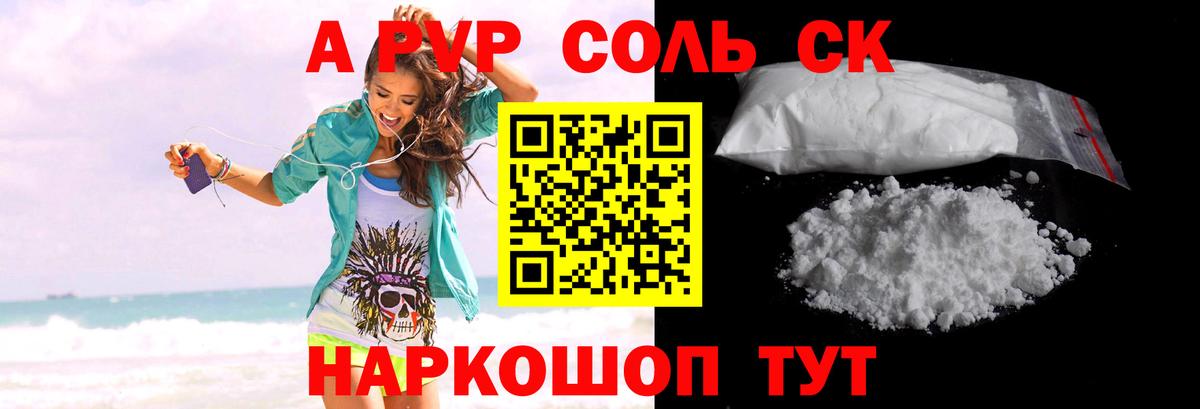 A PVP СК Нововоронеж