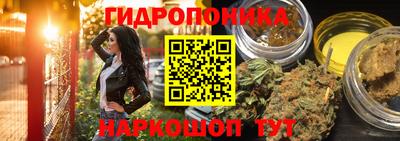 крисы Тара