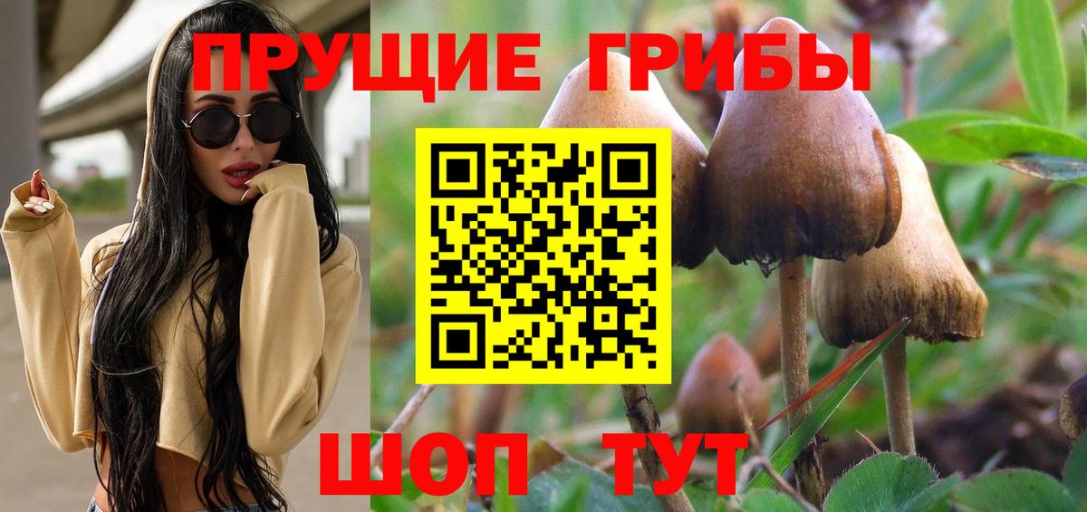 Псилоцибиновые грибы ЛСД Нововоронеж